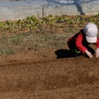 Kayla helping plant seeds