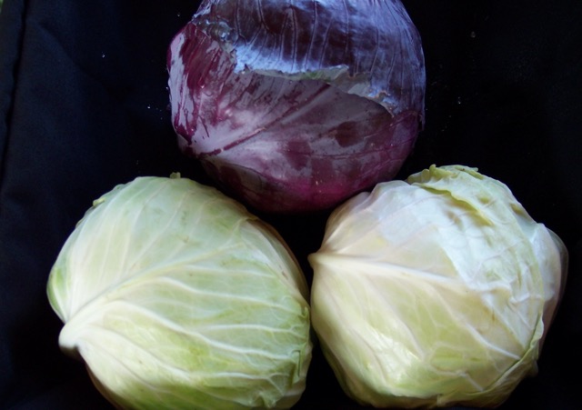 Cabbages