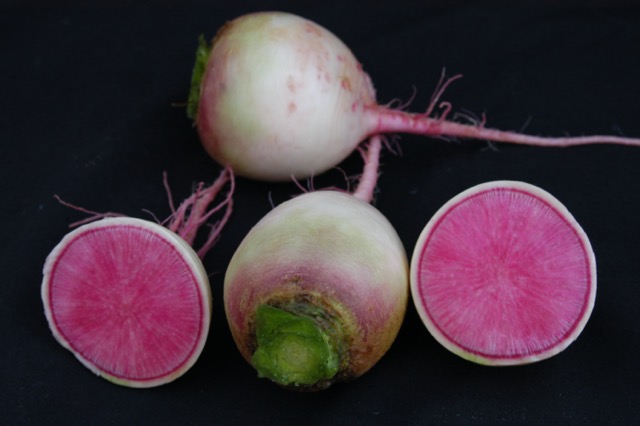 Watermelon Radishes