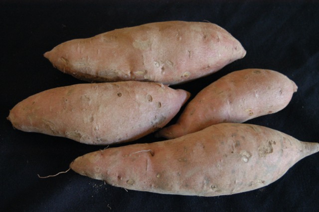 Sweet potatoes