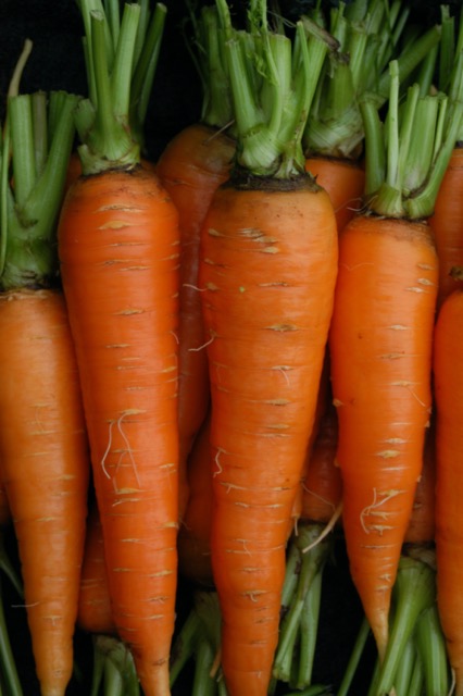 Carrots