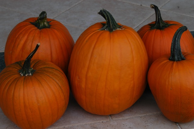 Pumpkins