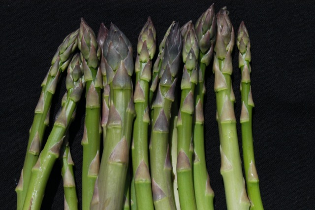 Asparagus