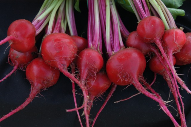 Bunched beets