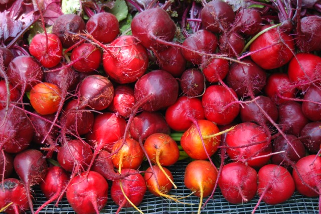 Beets