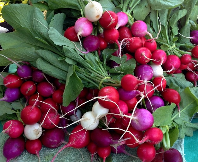 Radishes