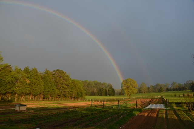 Partial rainbow