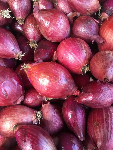 Red onions