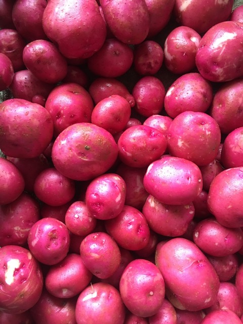 Red potatoes