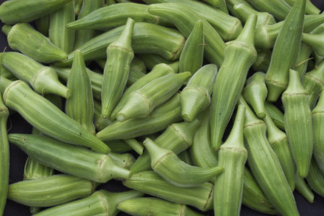 Okra