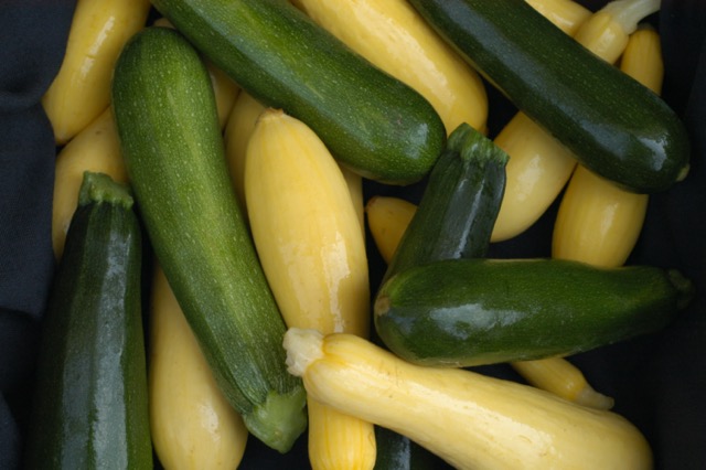 Squash and Zucchini