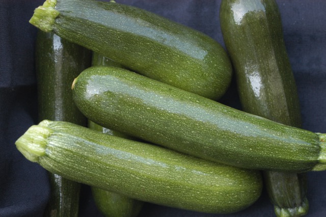 Zucchini