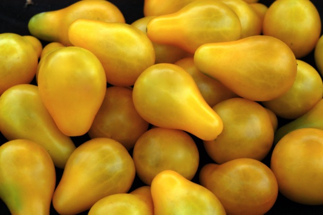 Yellow Pear Cherry