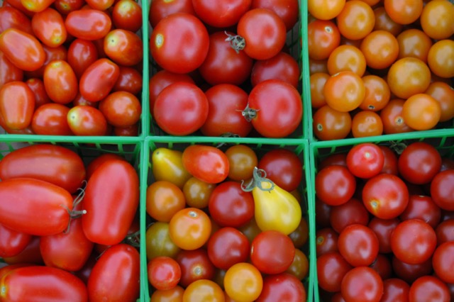 Tomato Pints