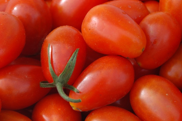 Tomatoes