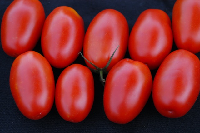 Red grape tomatoes