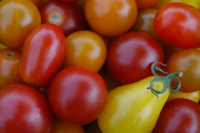 Mixed cherries