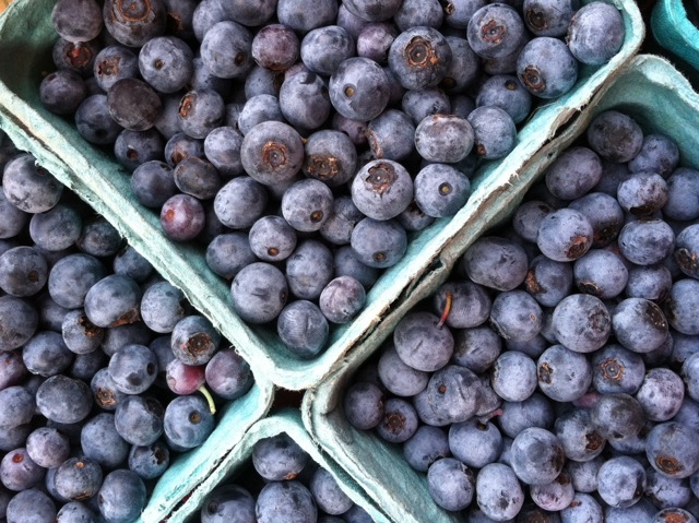 Blueberry pints