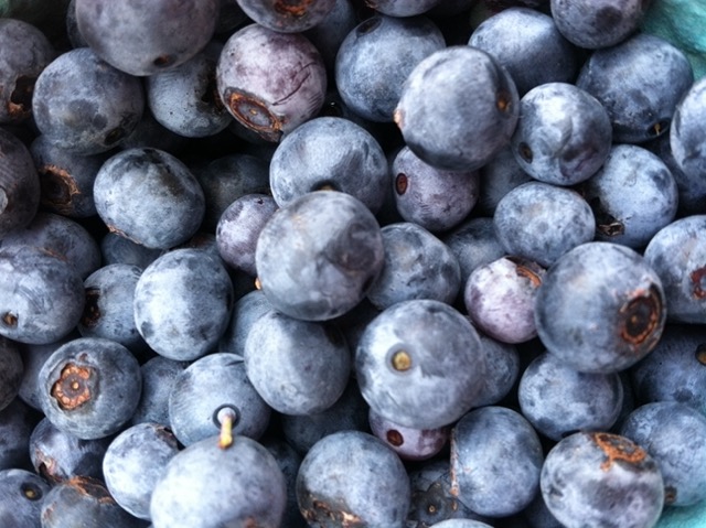 Blueberries