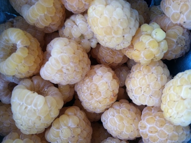 Golden Raspberries