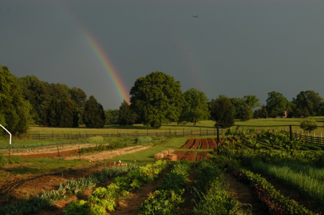 Rainbow gardens