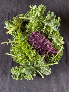 Kale